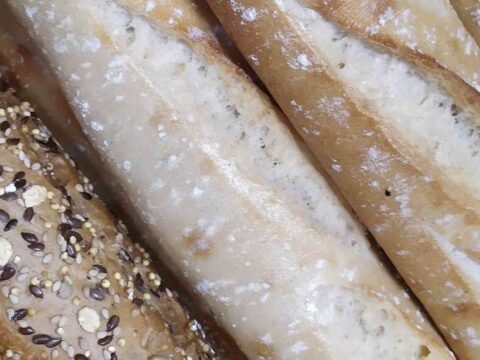 Services au Camping du Lac de Grolejac en Dordogne