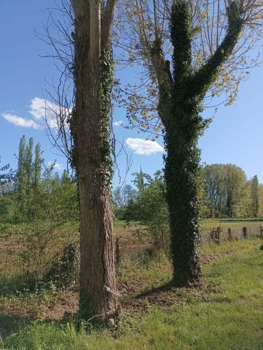 Indice de l'étape 6 du jeu les clés du Camping Dordogne