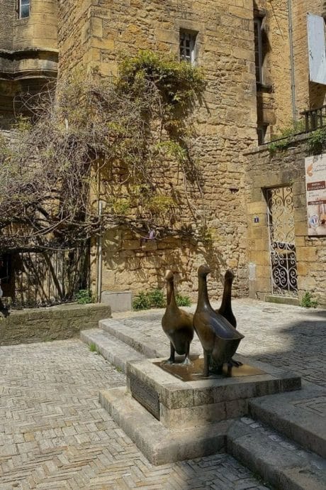 Place des oies à Sarlat la Canéda proche des Campings en Dordogne