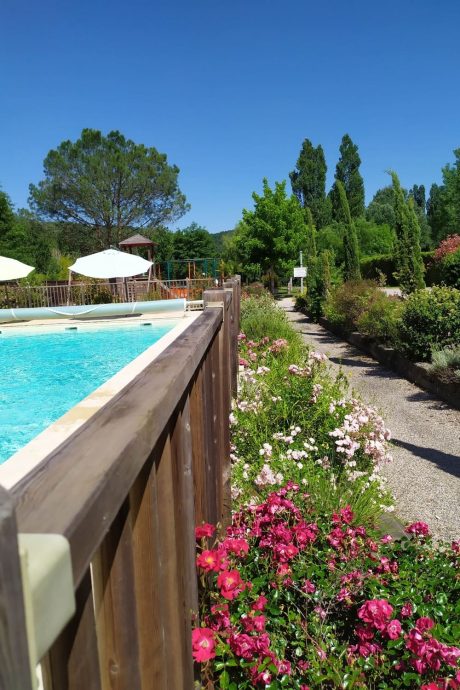 Belles fleurs à côté de la piscine chauffée du Camping Dordogne